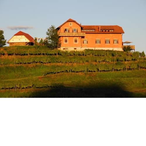 Hisa Vina