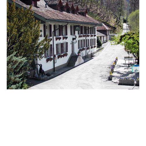 Historic Hotel Steinbock