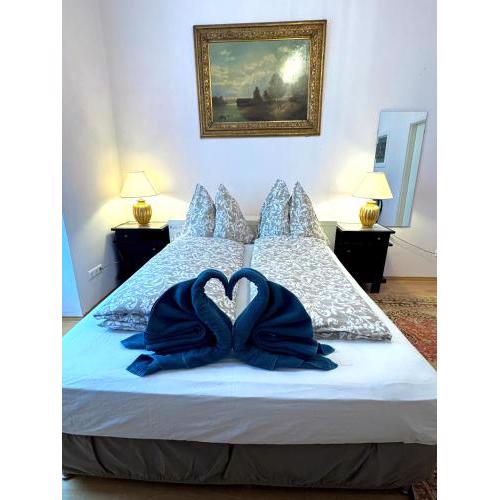 Historical Apartment In city center