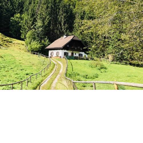 Hochsteinalm 2