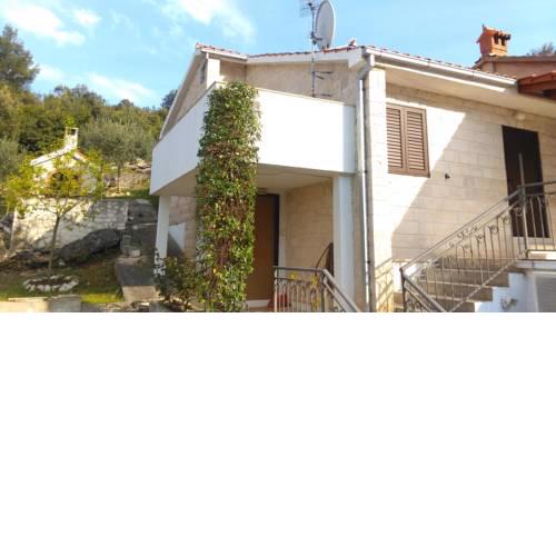 Holiday apartments Postira (Brac) - 704
