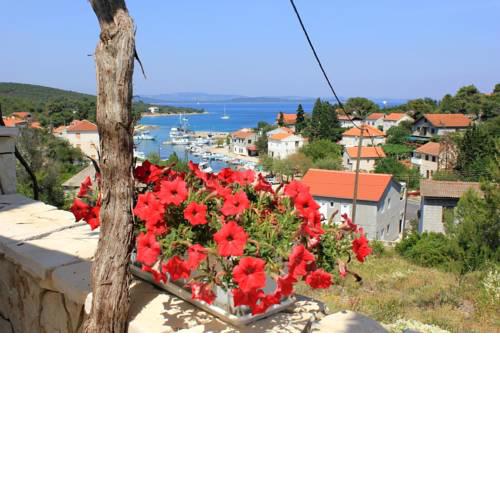 Holiday apartments Zman (Dugi otok) - 887