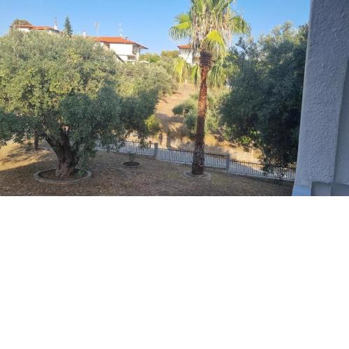 Holiday aptm - MorningSun2 - Sithonia