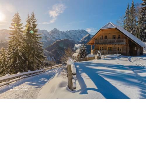 Holiday chalet "Alpine dreams"