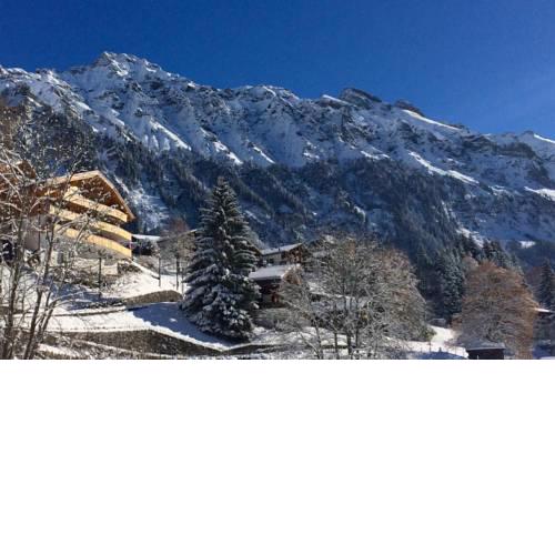 Holiday flat #1, Chalet Aberot, Wengen, Switzerland
