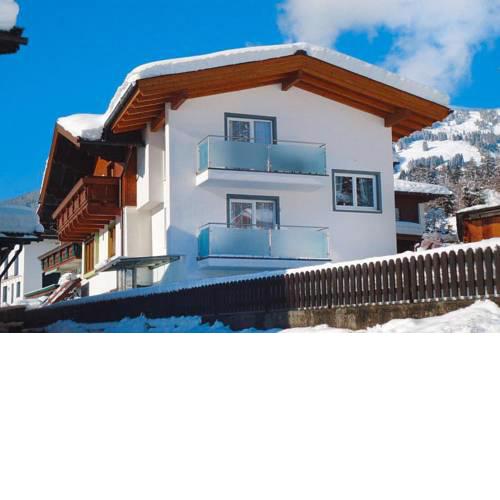 Holiday flat Hollersbach
