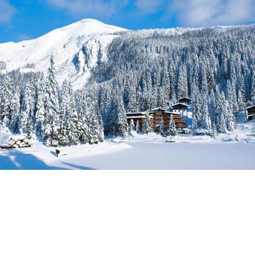 Holiday flats Alpen Appartements Zauchensee Altenmarkt - OSB02781-DYC