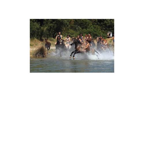 Holiday home Barban V