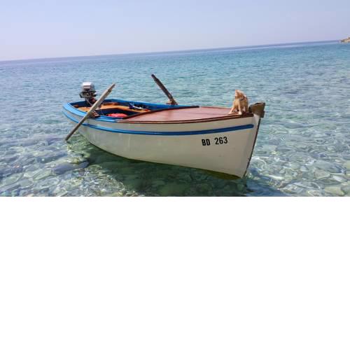 Holiday Home Fisherman's