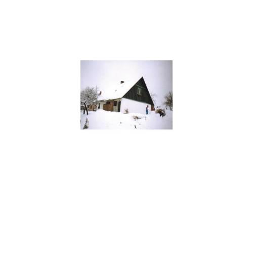 Holiday home Horni Branna