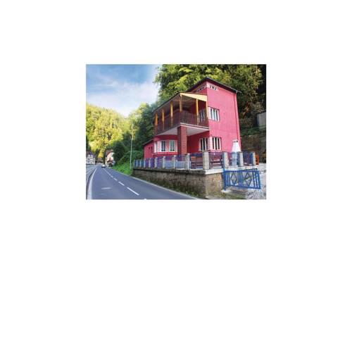 Holiday Home Hrensko X
