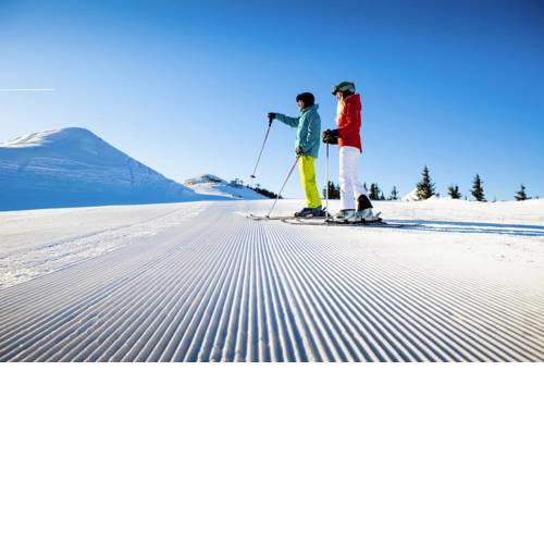 Holiday Home Lieslhütte Großarl - OSB02785-F