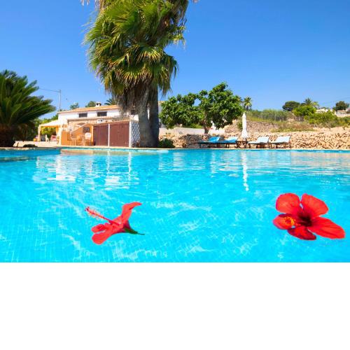 Holiday Home Los Mulet