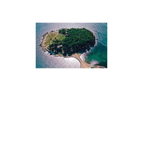 Holiday home Medulin 33