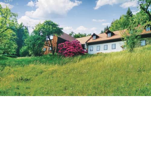 Holiday Home Miesenbach with Fireplace 10