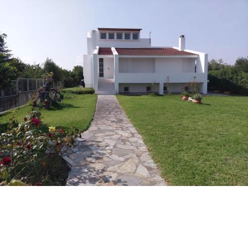 Holiday home next to orange tree orchard