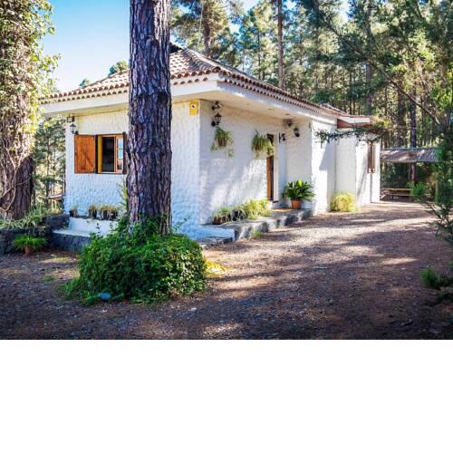 Holiday Home Sendero floral