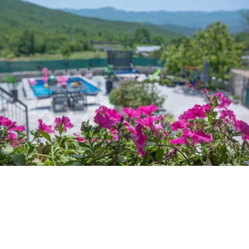 Holiday home Stipanovi Dvori