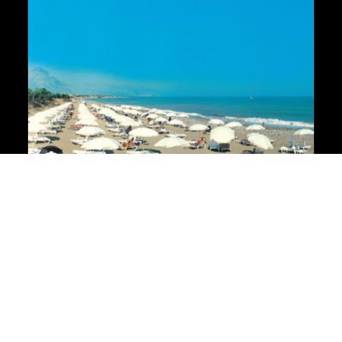 Holiday Homes