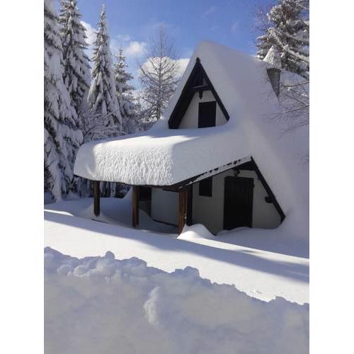 Holiday house Nature