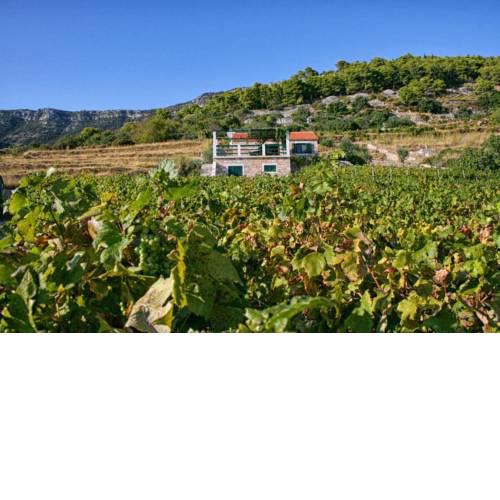 Holiday house with a parking space Bol (Brac) - 4661