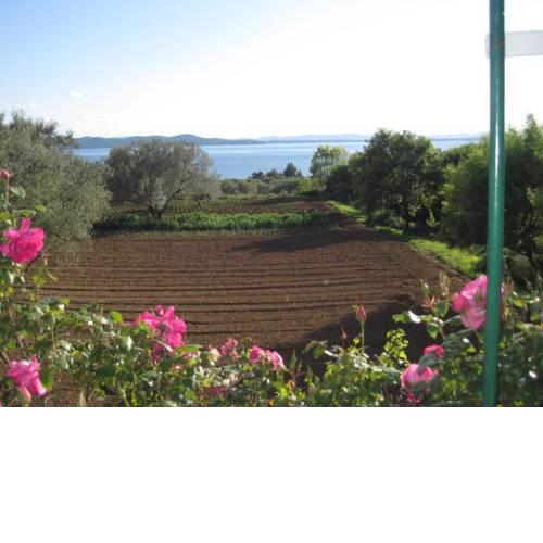 Holiday house with a parking space Kozino (Zadar) - 14464