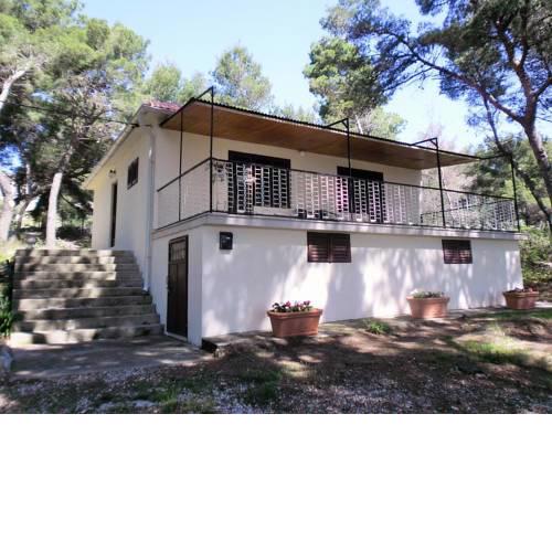 Holiday house with a parking space Sumartin (Brac) - 12047
