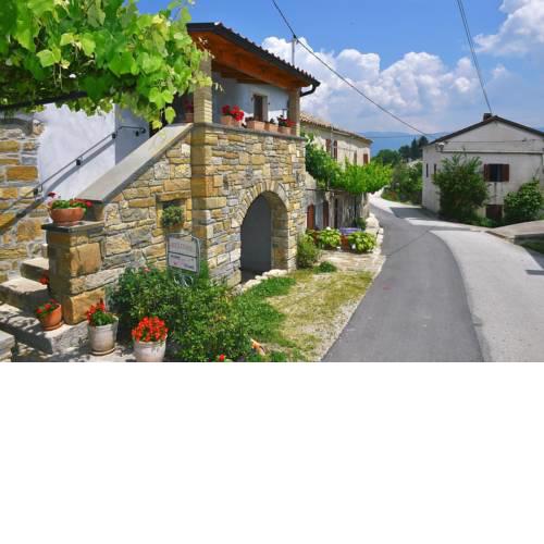 Holiday house with WiFi Paz (Central Istria - Sredisnja Istra) - 16623