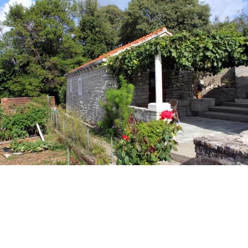 Holiday house with WiFi Zrnovo (Korcula) - 4876
