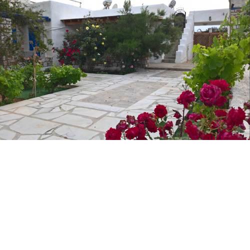 Holiday House
