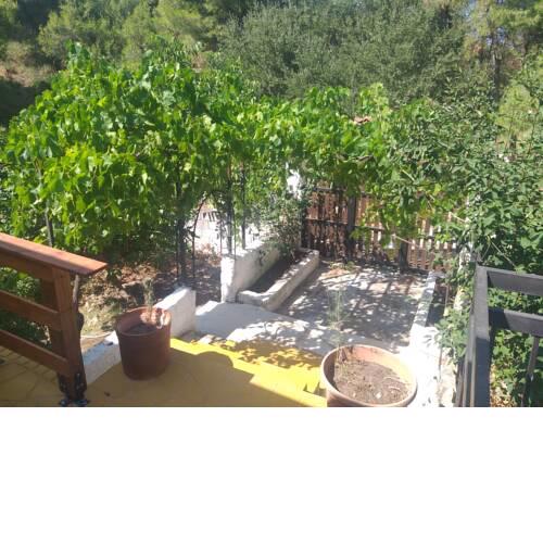 (Holiday House)Βουνό και θάλασσα σε ένα μερος.
