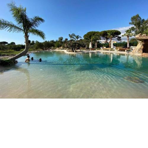 Holiday in Paradise