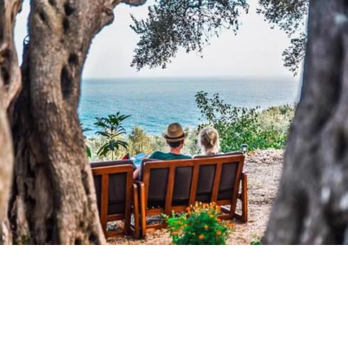 Holiday Park Olive Tree