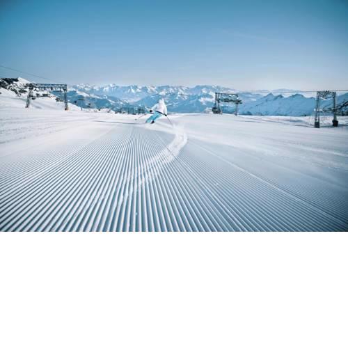 Holiday residence AlpenParks Residence Zell am See - OSB03841-DYA