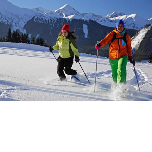Holiday resort Almdorf Hohentauern Hohentauern im Murtal - OSM031005-FYA