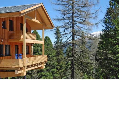 Holiday resort Alpenpark Turracher Höhe Turracher Höhe - OSM02004-FYB