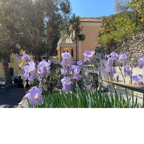 Holiday Rooms La Campagnetta