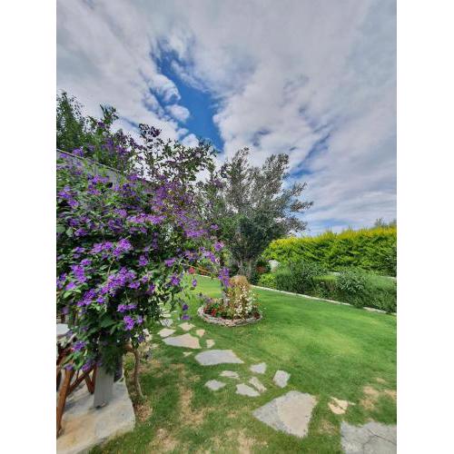 Holiday Villa in Cesme