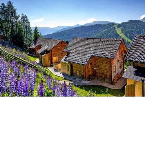 Holiday village Marktl Alm Turracher Höhe - OSM02002-HYC