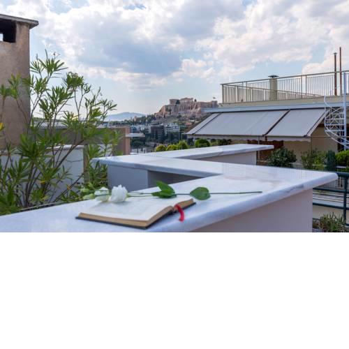Holodek Apartments : Mets Roofgarden