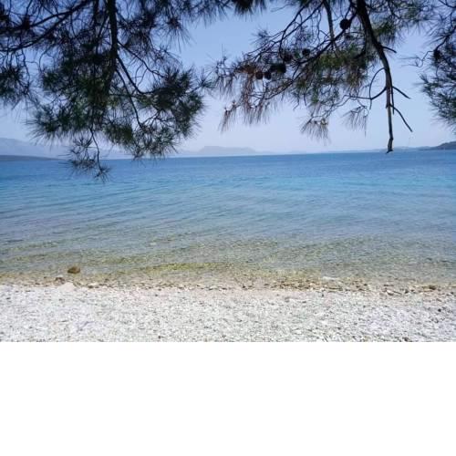 Home by the Sea