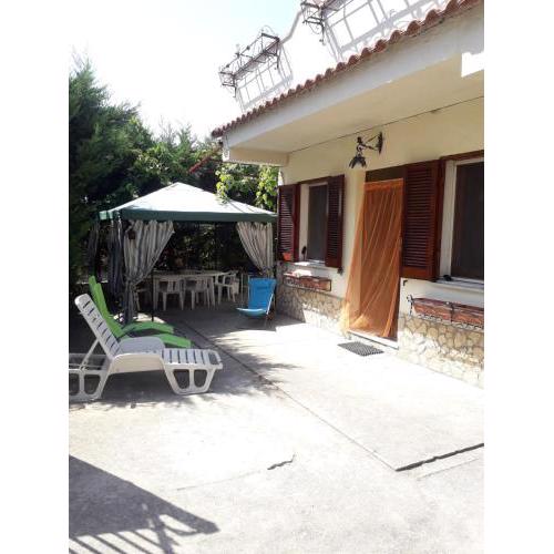 Home Holiday