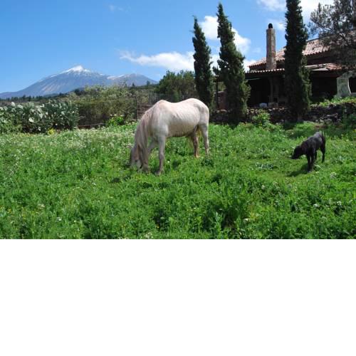 Home2Book Volcano Views ECO-House