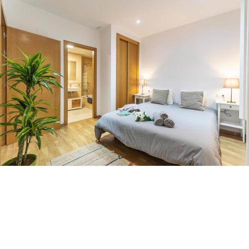 HomeAbroad Apartments - Premium Mitjana