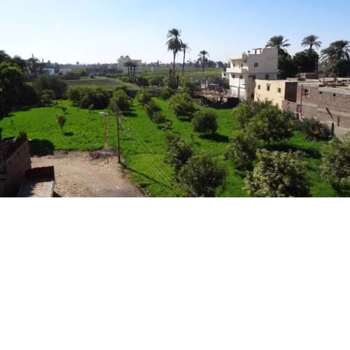 Homestay Family near Luxor monuments