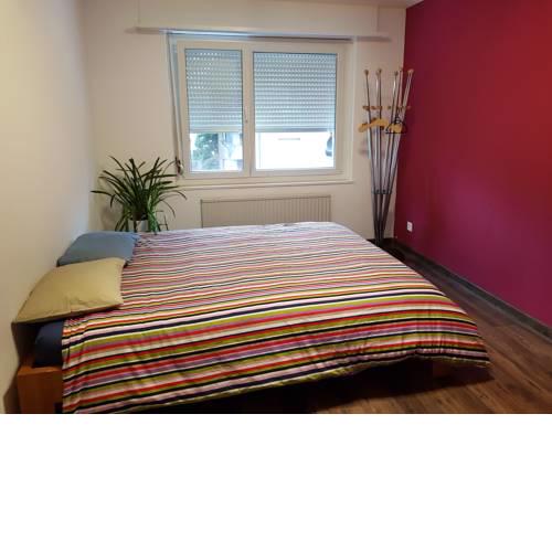 Homestay Zurich