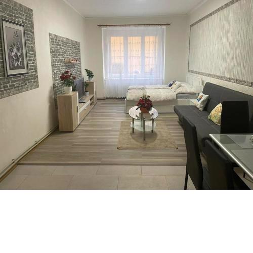 HONZA Ng. Apartment