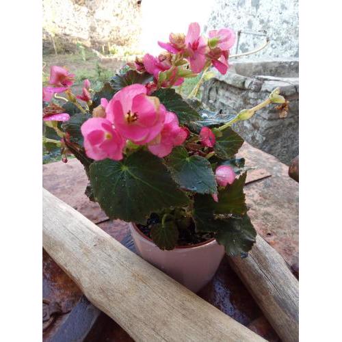 Hostel Etna