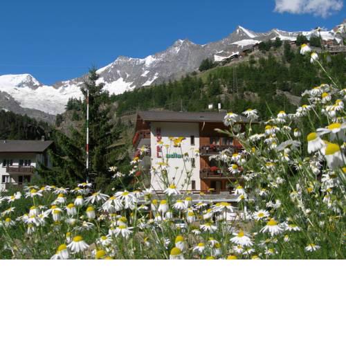 Hotel Adler