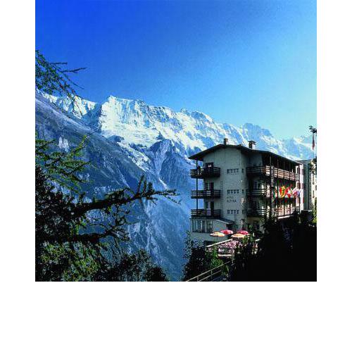 Hotel Alpina